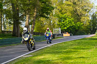 Middle Group Yellow Bikes